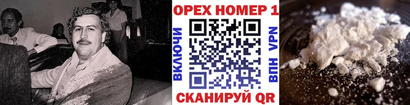 Купить  Кирсанов  COCAIN FishScale 