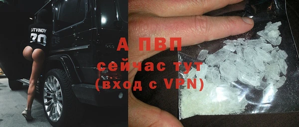 ПСИЛОЦИБИНОВЫЕ ГРИБЫ Вязники