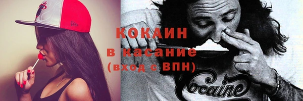 ПСИЛОЦИБИНОВЫЕ ГРИБЫ Вязники