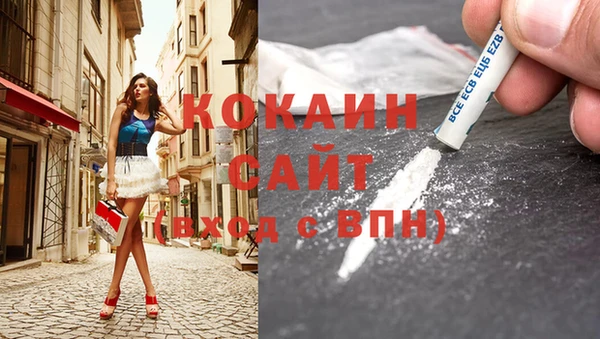 ПСИЛОЦИБИНОВЫЕ ГРИБЫ Вязники