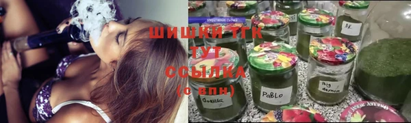 стаф Горняк