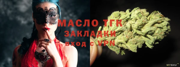 скорость Вяземский