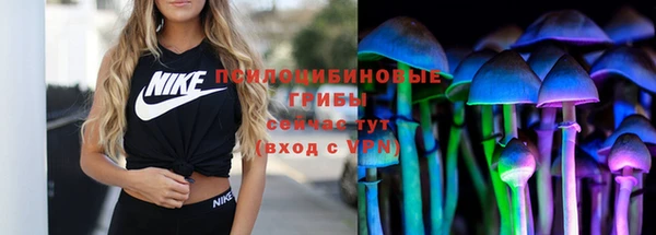 скорость Вяземский