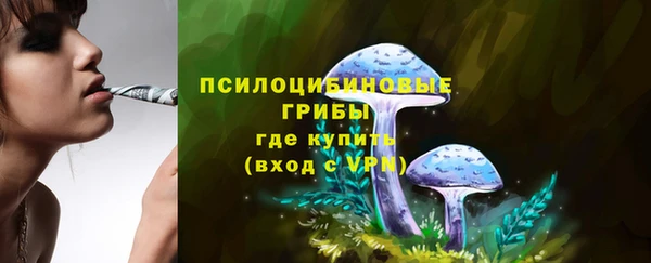 ПСИЛОЦИБИНОВЫЕ ГРИБЫ Вязники
