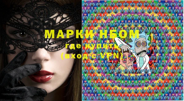 ПСИЛОЦИБИНОВЫЕ ГРИБЫ Вязники