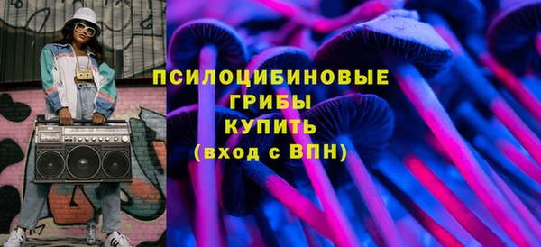 скорость Вяземский