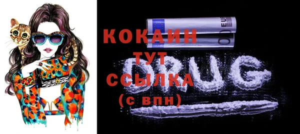 дживик Горнозаводск