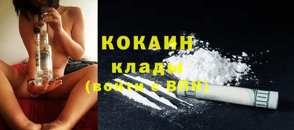 стаф Горняк